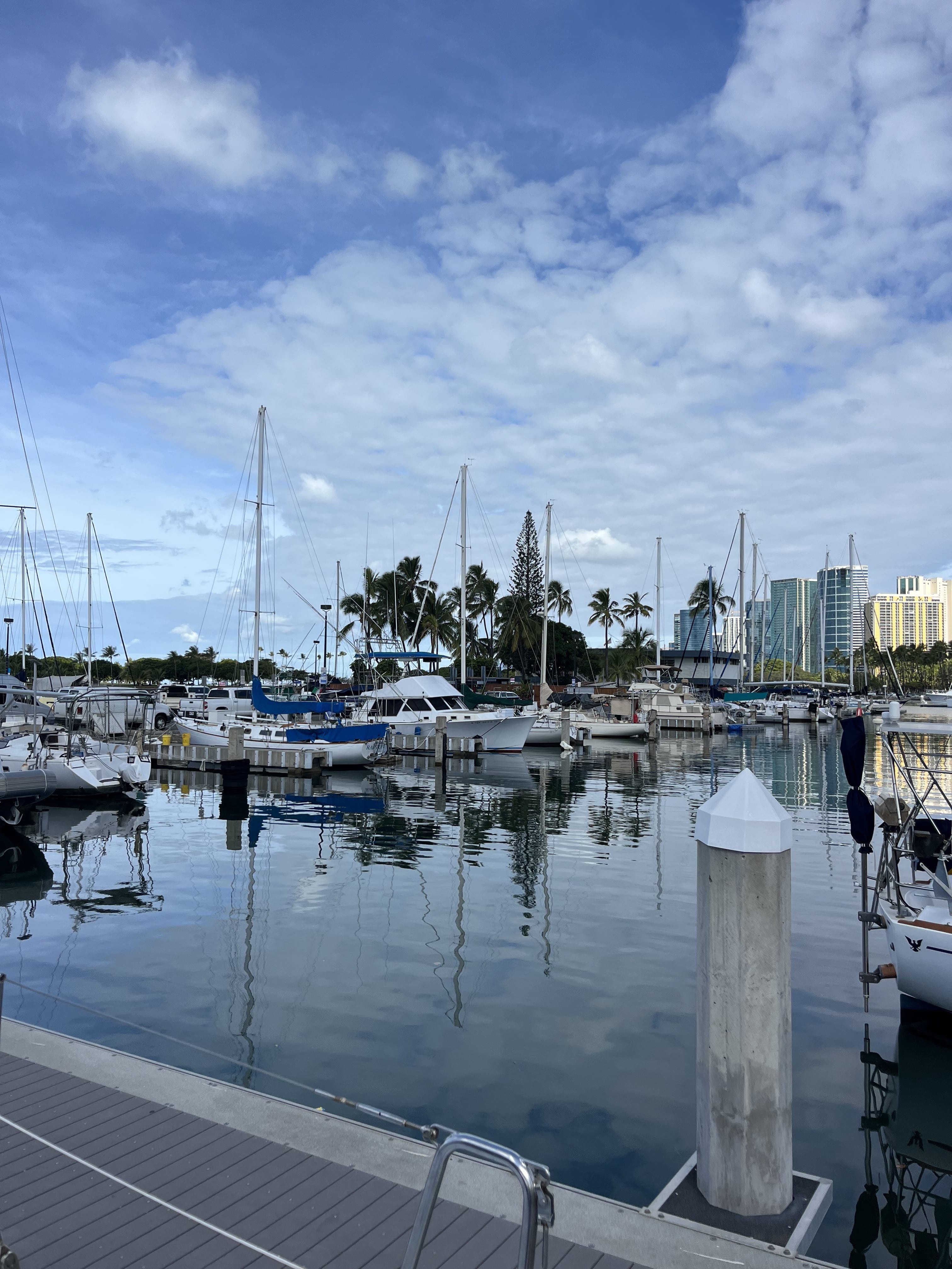 Advanced Marine Hawaii marina